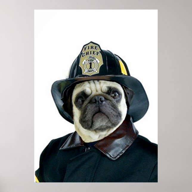 Fireman Pug poster (Front)