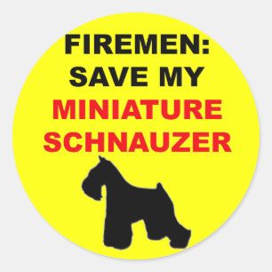 Fireman Save My Miniature Schnauzer Classic Round Sticker