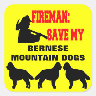 Fireman Save My Three Bernese Mountain Dogs Square Sticker