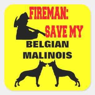 Fireman Save My Two Belgian Malinois Dogs Square Sticker