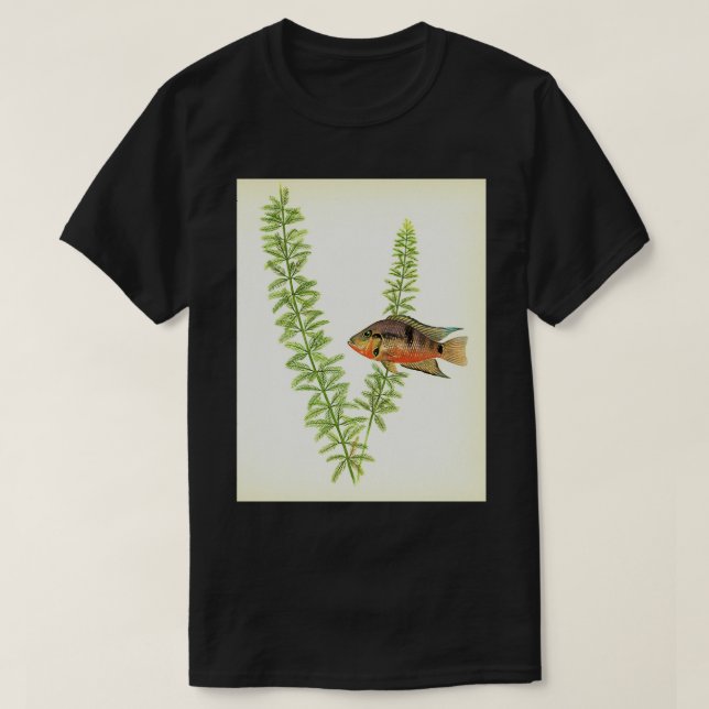 Firemouth cichlid Thorichthys meeki T-Shirt (Design Front)