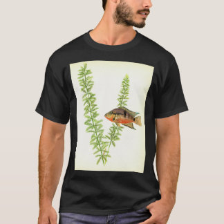 Firemouth cichlid Thorichthys meeki T-Shirt