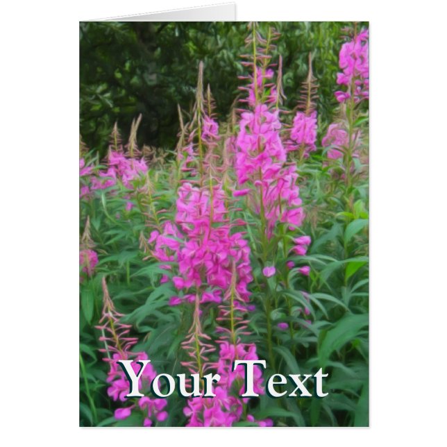 Fireweed (Front)