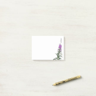 Fireweed 3" x 4" Notes