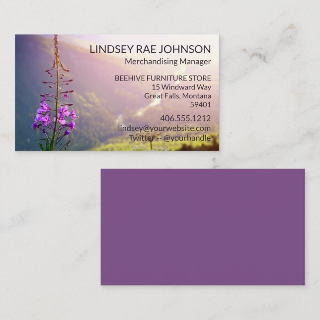 Fireweed at Glacier National Park Business Card (Front/Back)
