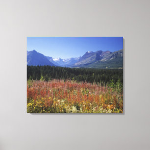 Fireweed flowers canvas print