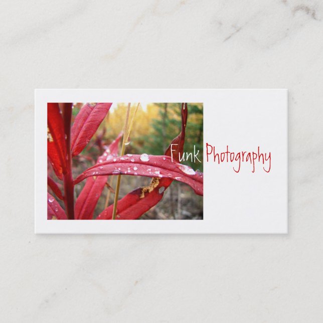 Fireweed in the Fall Business Card (Front)