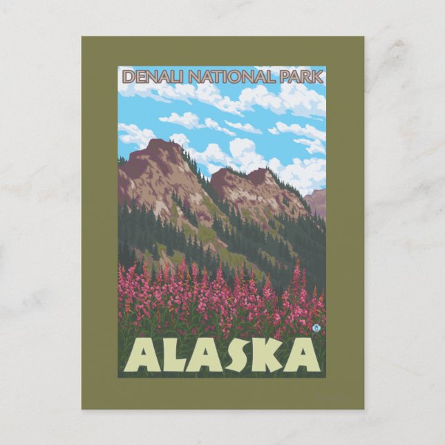Fireweed & Mountains - Denali Nat'l Park, Postcard (Front)