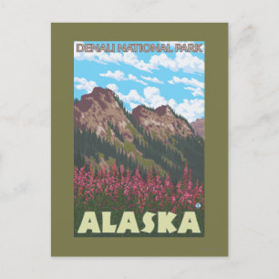 Fireweed & Mountains - Denali Nat'l Park, Postcard