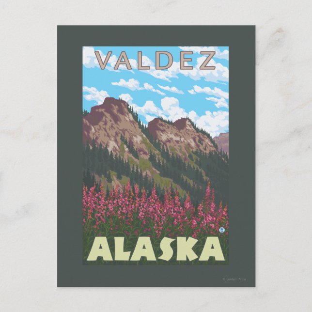 Fireweed & Mountains - Valdez, Alaska Postcard (Front)