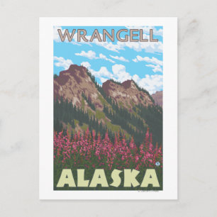 Fireweed & Mountains - Wrangell, Alaska Postcard