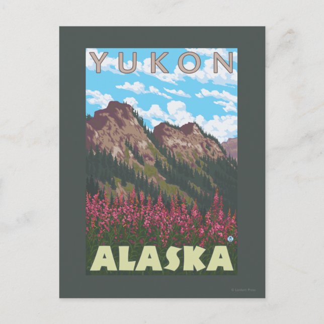 Fireweed & Mountains - Yukon, Alaska Postcard (Front)