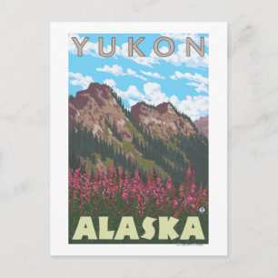 Fireweed & Mountains - Yukon, Alaska Postcard