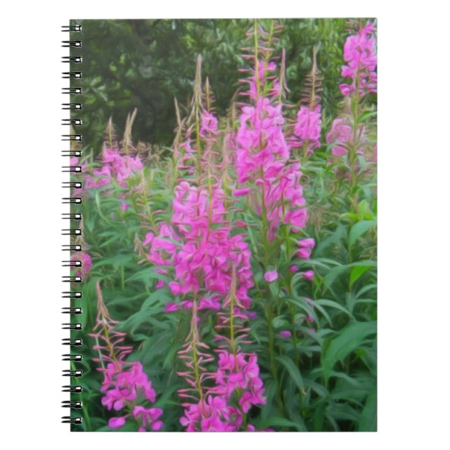 Fireweed Notebook (Front)