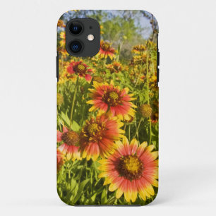 Firewheels Gaillardia pulchella) wildflowers iPhone 11 Case