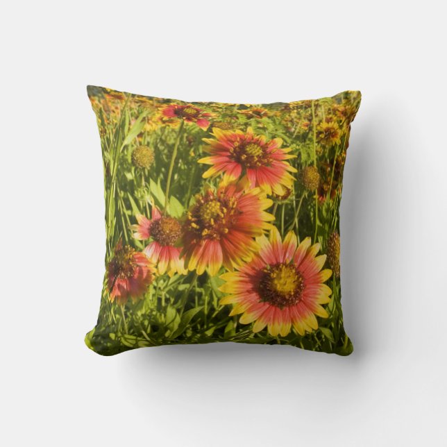 Firewheels Gaillardia pulchella) wildflowers Cushion (Front)
