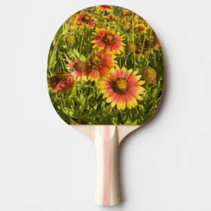 Firewheels Gaillardia pulchella) wildflowers Ping Pong Paddle
