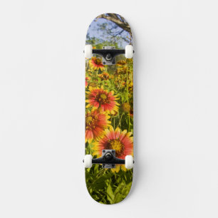 Firewheels Gaillardia pulchella) wildflowers Skateboard
