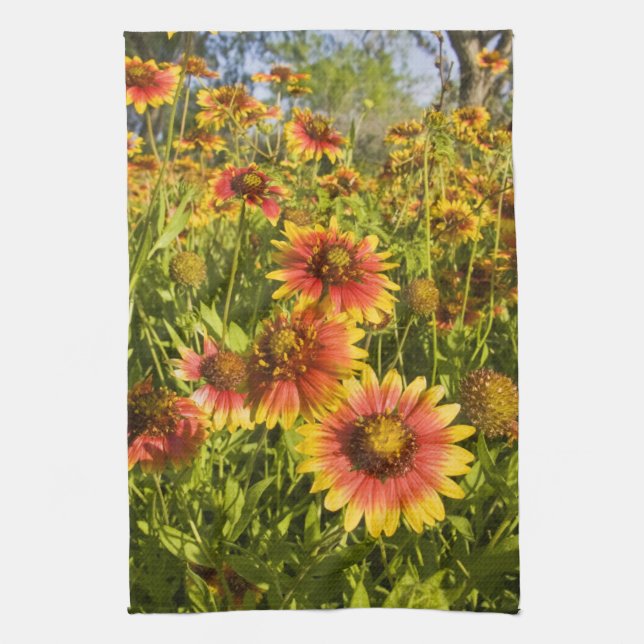 Firewheels Gaillardia pulchella) wildflowers Tea Towel (Vertical)