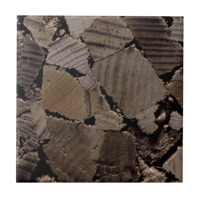 Firewood rustic cabin wood grain tree bark pattern tile (Front)
