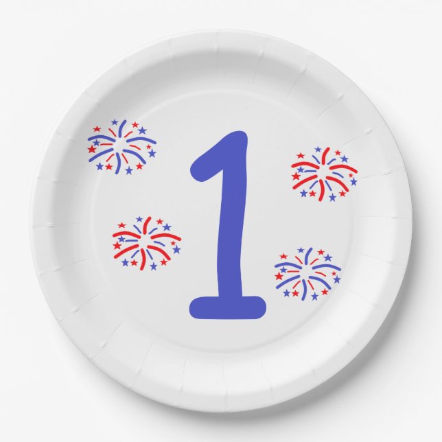 Firework 1st Birthday Paper Plate (Front)