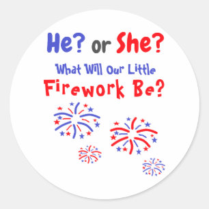 Firework American Gender Reveal Classic Round Sticker