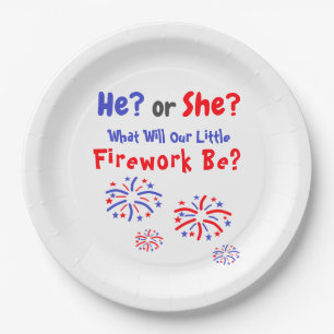 Firework American Gender Reveal Paper Plate