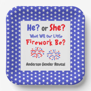 Firework American Gender Reveal Paper Plate