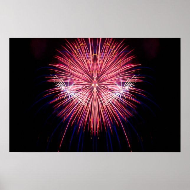 Firework Art: Red and White Poster (Front)