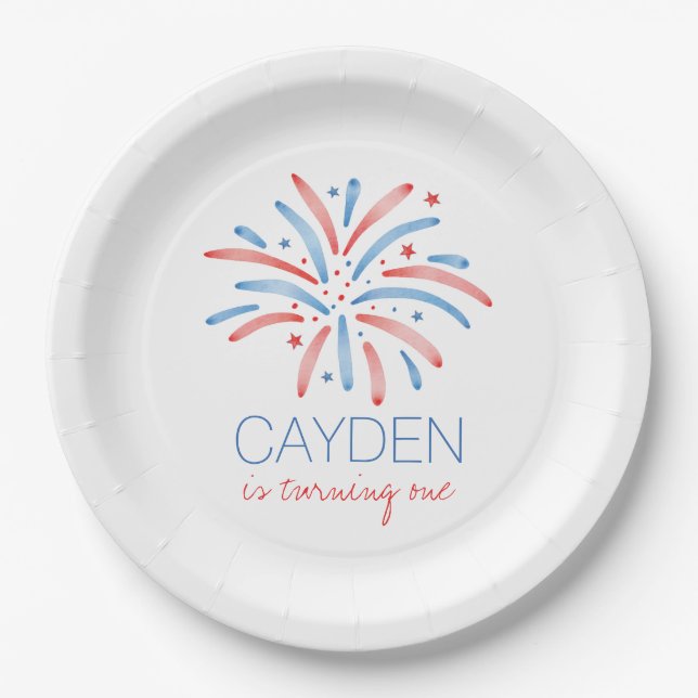 Firework Fourth of July Birthday Paper Plate (Front)