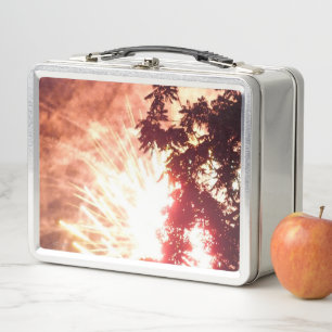 Fireworks 12 stainless lunchbox
