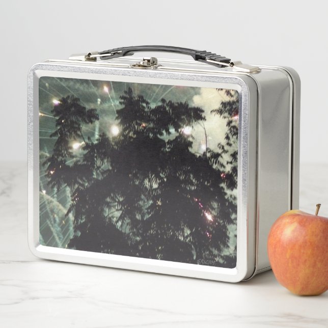 Fireworks 13 stainless lunchbox (In Situ)