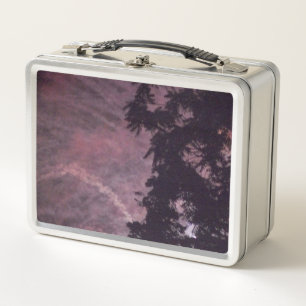 Fireworks 16 stainless lunchbox