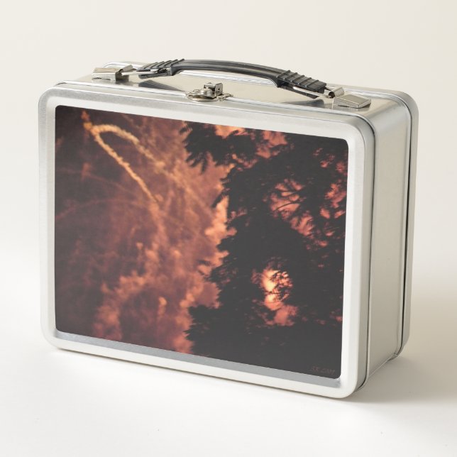 Fireworks 20 stainless lunchbox (Front)