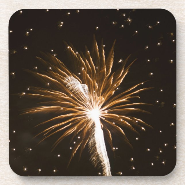 Fireworks display on Savannah River Coaster (Front)