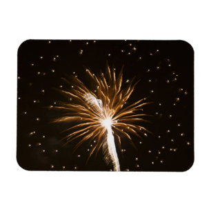 Fireworks display on Savannah River Magnet