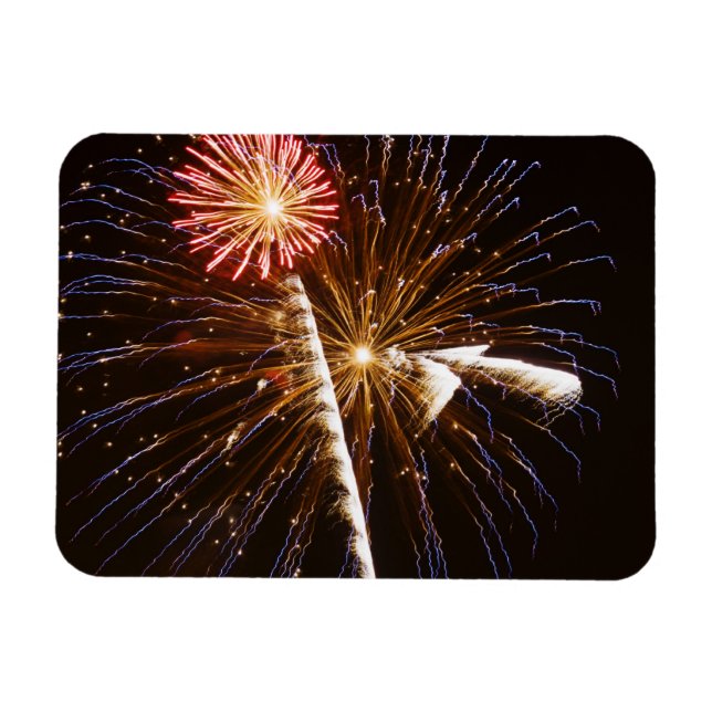 Fireworks display on Savannah River Magnet (Horizontal)