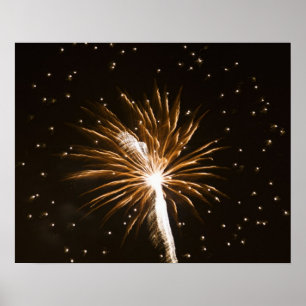 Fireworks display on Savannah River Poster