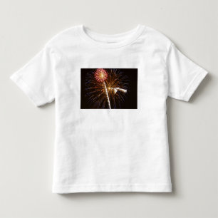 Fireworks display on Savannah River Toddler T-Shirt