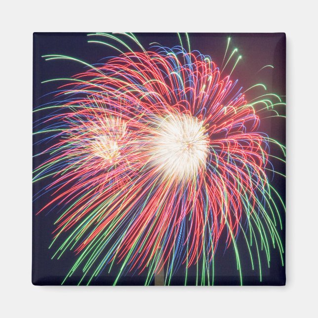 Fireworks Magnet (Front)