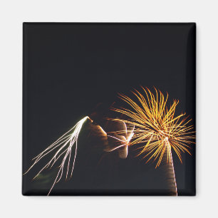 Fireworks P0538 Magnet