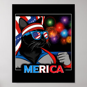 Fireworks Patriotic Black Cat  Poster