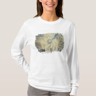 Fireworks T-Shirt