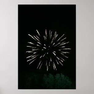 Fireworks with Tree Poster