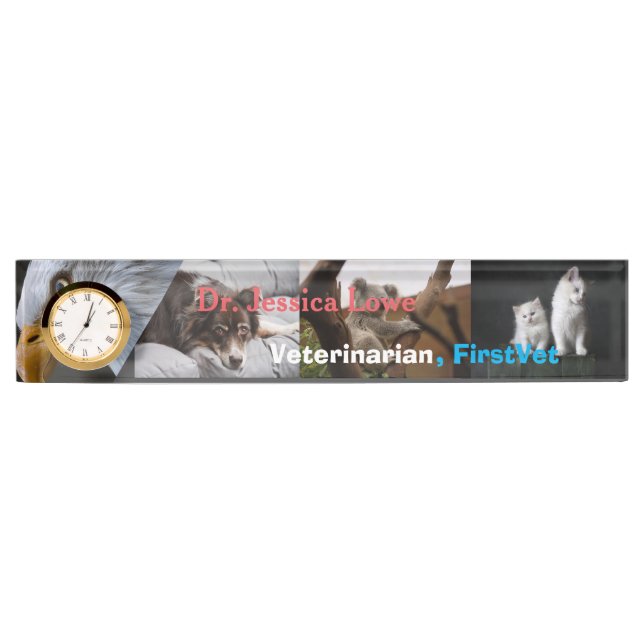 First and Best Veterinarian Care Acrylic  Nameplate (Front)