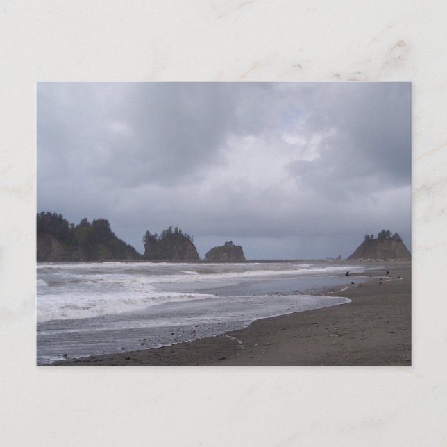 First Beach At LaPush Postcard (Front)