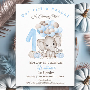 First Birthday Cute Elephant Fall Boy Invitation