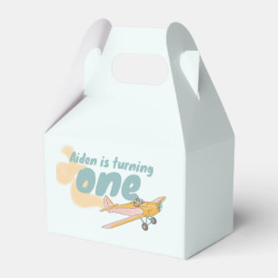 First Birthday, dog lover, plane lover  Favour Box