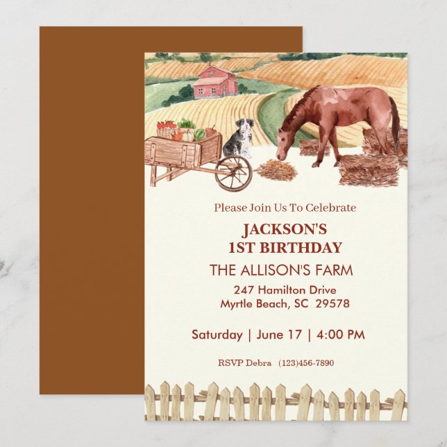 First Birthday Farm Barn Animals Invitations (Front/Back)