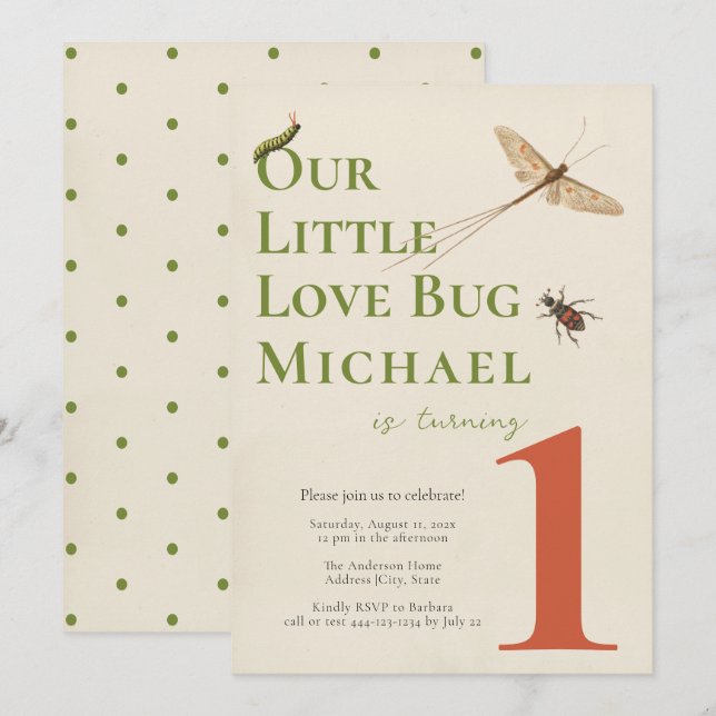 First Birthday Little Love Bug Baby Invitation (Front/Back)